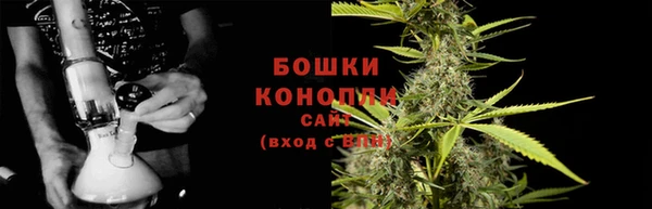 шишки Алзамай