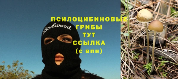 прущий лед Алексин