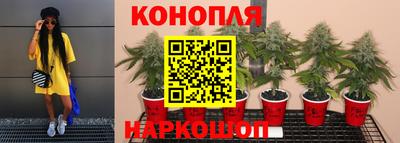 мескалин Можга