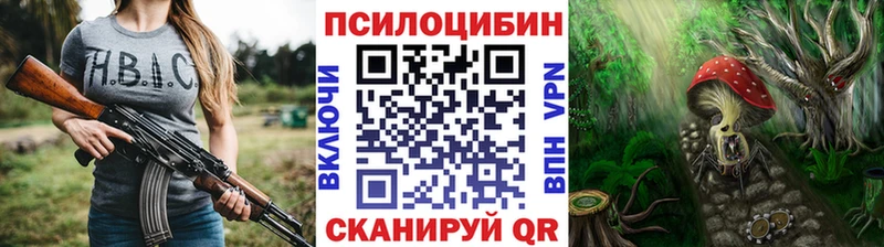 Галлюциногенные грибы Psilocybine cubensis  Энгельс 