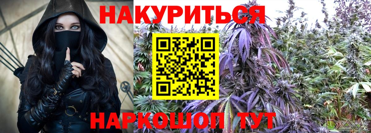 Каннабис гибрид Энгельс